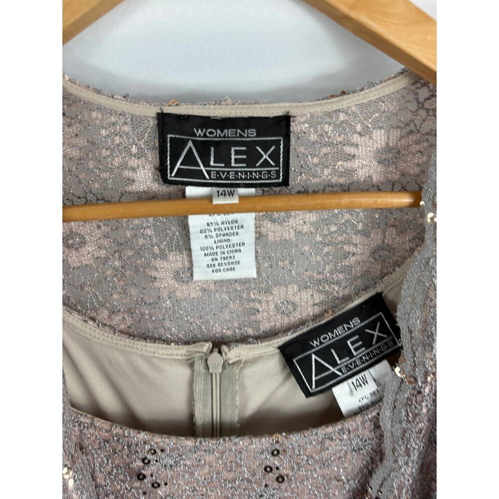 Alex Evenings Lace 2 Piece Evening Set Tan Size 14W - Picture 4 of 5